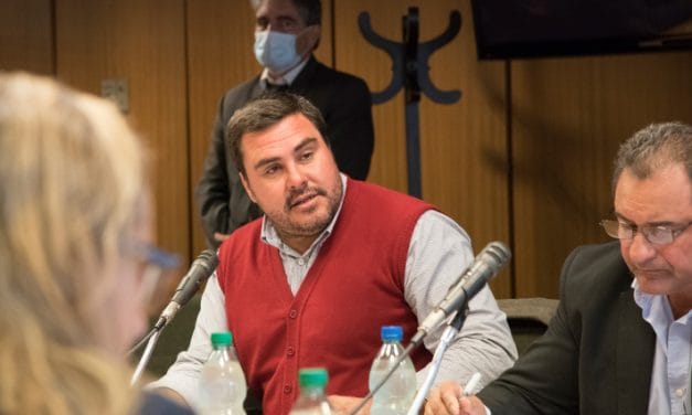 Bienestar animal avanza tras nueva ley aprobada