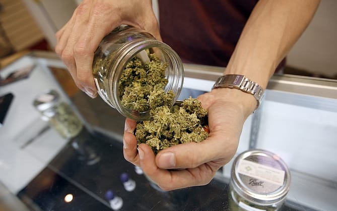 Épsilon: la nueva variación de cannabis en farmacias a $570