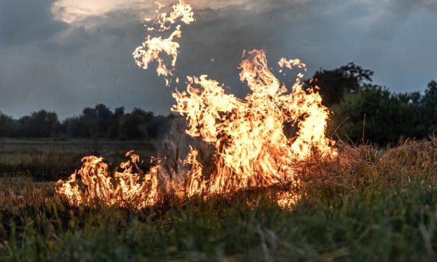 Plan para combatir incendios forestales en la temporada 2024 – 2025