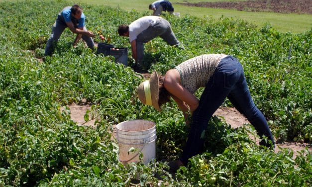 Encuentro en Paysandú conmemora a las mujeres rurales y promueve el fortalecimiento en el sector agrario