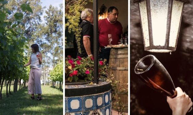 Entre vinos y viñedos: actividades de la mano de Bodegas Carrau por el mes del enoturismo