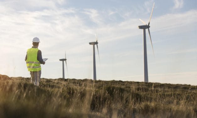 Canelones avanza hacia la generación de su propia energía: la visión de Marcelo Metediera