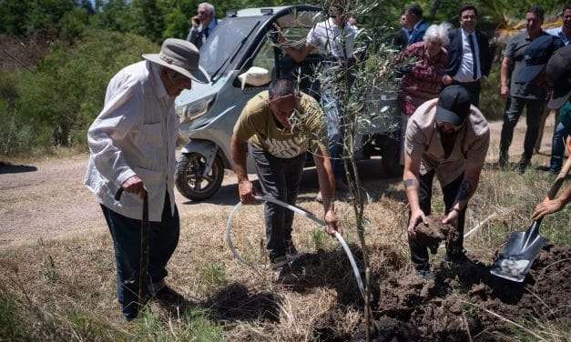 Intensa agenda de Boric en Uruguay: hasta plantó un olivo en la chacra de Mujica