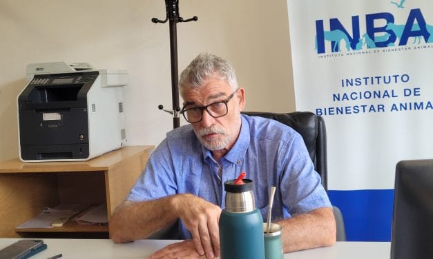 Álvaro Buscarons: “Sin bienestar animal no se puede garantizar la salud del ser humano”