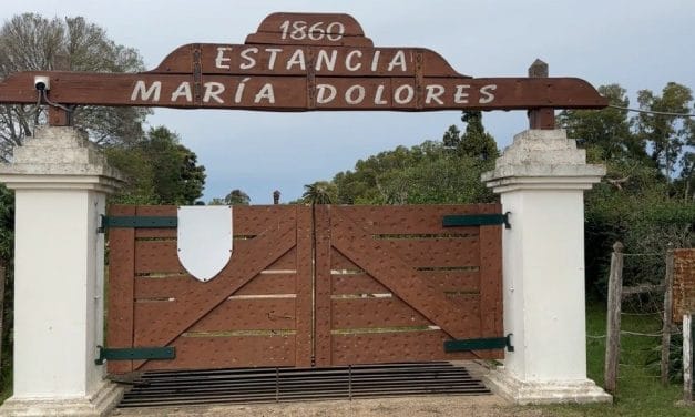 Compra de campo por parte del Estado: “Es un compromiso del programa”