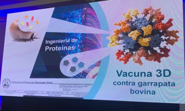 Vacuna uruguaya contra la garrapata mostró efectividad del 90%