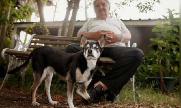 Último deseo de Pepe Mujica: ser enterrado en la chacra junto a su perra Manuela