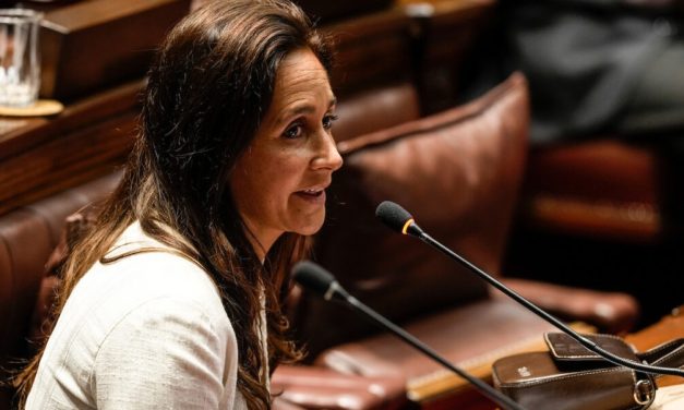 Una mirada distinta: Nicolle Salle en el Parlamento