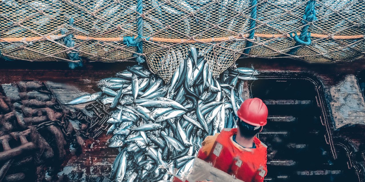 Conflicto en la pesca: gremiales y sindicato enfrentados por llamado laboral masivo