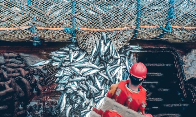 Conflicto en la pesca: gremiales y sindicato enfrentados por llamado laboral masivo