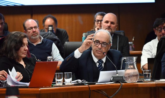 El MGAP presentó en Diputados su hoja de ruta para el agro 2025-2029