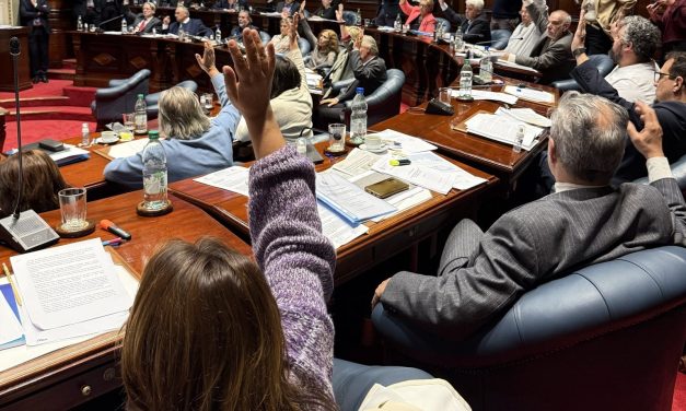 El Senado transformó en ley el proyecto de eutanasia