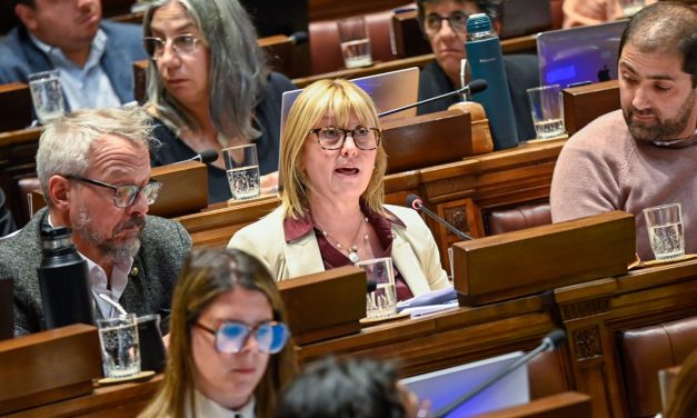 Interpelación a Lustemberg terminó sin definiciones
