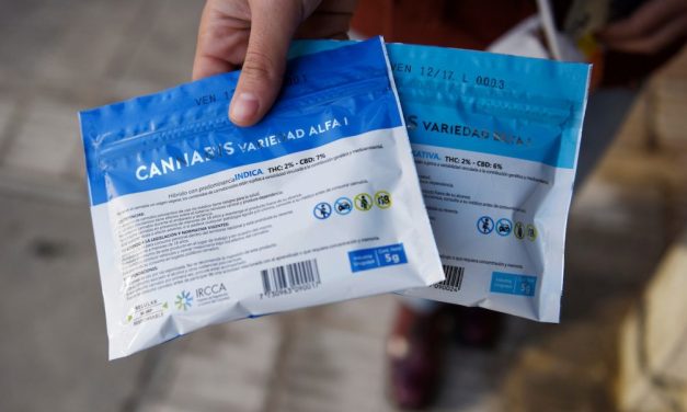 Marihuana legal a extranjeros: IRCCA evalúa posibilidades