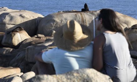 Uruguay recibió en 2025 más de 3 millones de visitantes