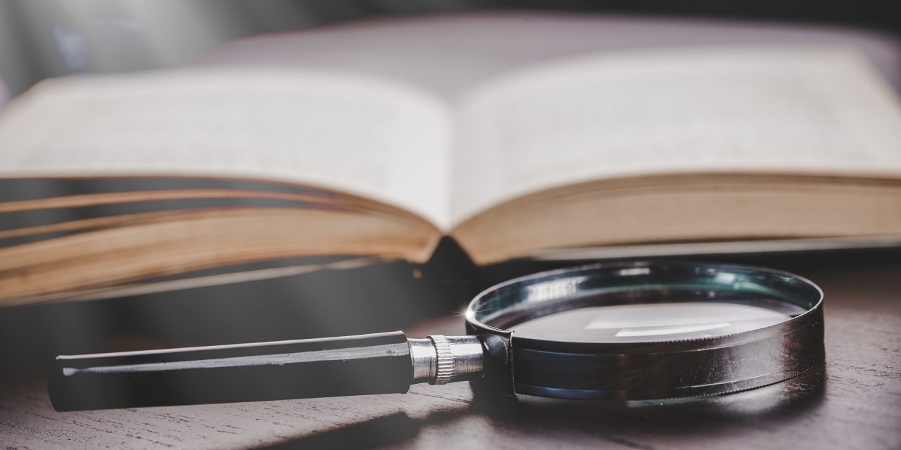 El año 20026 en el que investigar volvió a importar