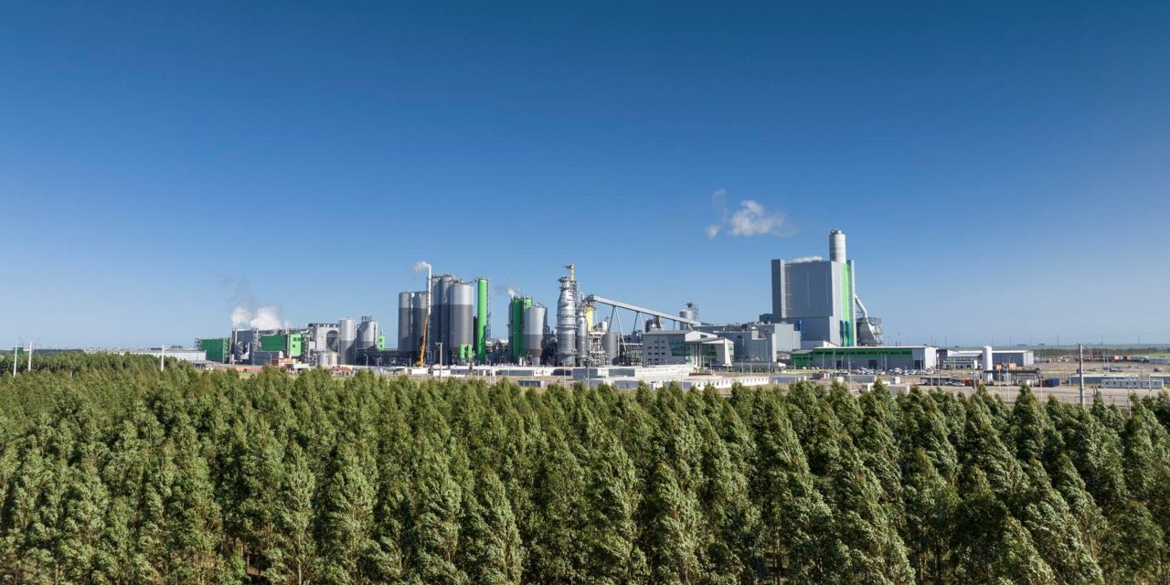 UPM: la planta que revela el alcance industrial, ambiental y social de la celulosa en Uruguay