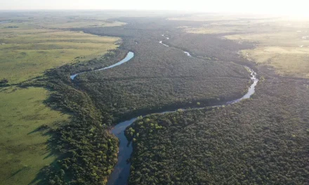 Trihalometanos en el agua potable: Ursea está  alerta y autoridades aseguran consumo seguro