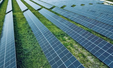 Gobierno impulsa nueva planta solar en Baygorria: inversiones desde 200 dólares