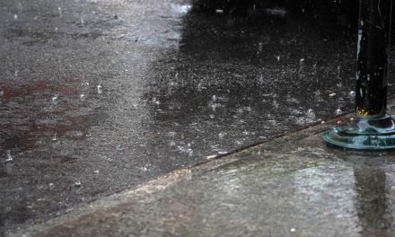 Fuertes lluvias en el sur del país: se registraron inundaciones en varias zonas