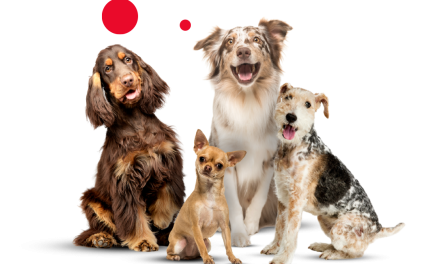 Nutrapet: “La nutrición animal es equilibrio, control y responsabilidad”