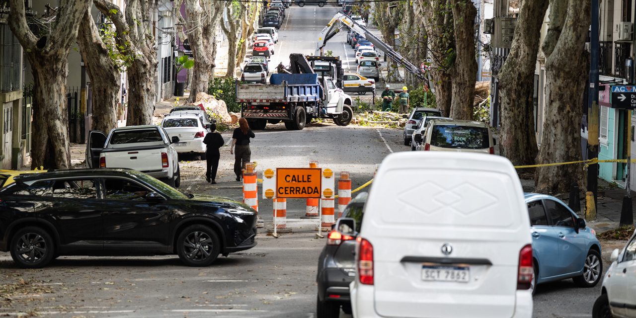 Sinae advierte sobre cómo actuar ante tormentas intensas y vientos fuertes