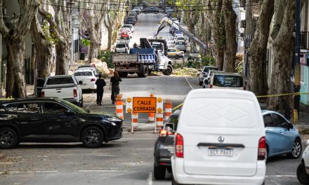 Sinae advierte sobre cómo actuar ante tormentas intensas y vientos fuertes