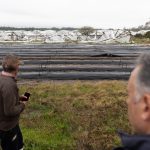 Gobierno decretó emergencia granjera en Salto tras el temporal que afectó a unos 300 productores