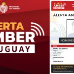 Alerta Amber: búsqueda temprana de niños, niñas y adolescentes
