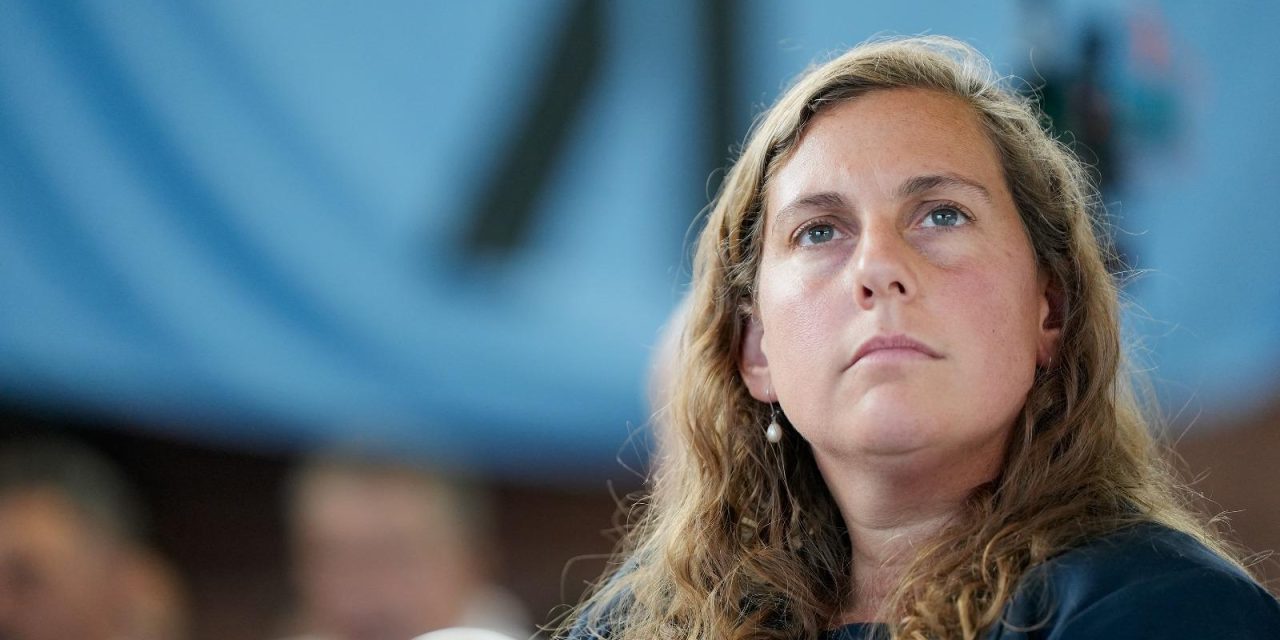 Arlegui cuestiona el proyecto de exclusividad parlamentaria: “No quiero que exista una clase política”