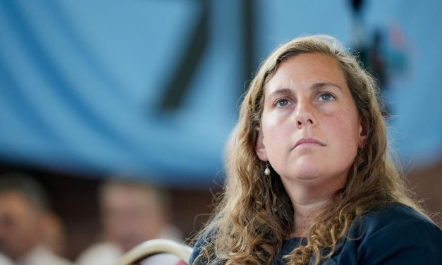 Arlegui cuestiona el proyecto de exclusividad parlamentaria: “No quiero que exista una clase política”