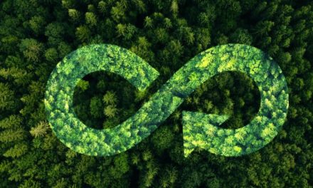 Economía Circular en Uruguay,producir más valor y descartar menos